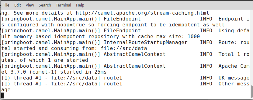 what is apache camel